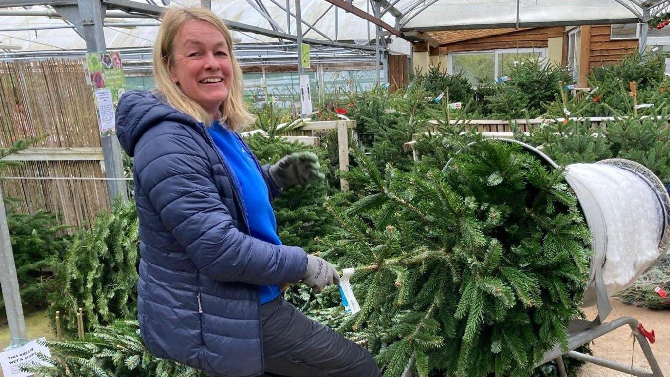 A smiling woman inserts a Christmas tree into a wrapping mechanism at Brackenwood Garden Centre in Abbots Leigh, near Bristol. Behind her are many more Christmas trees ready to be wrapped