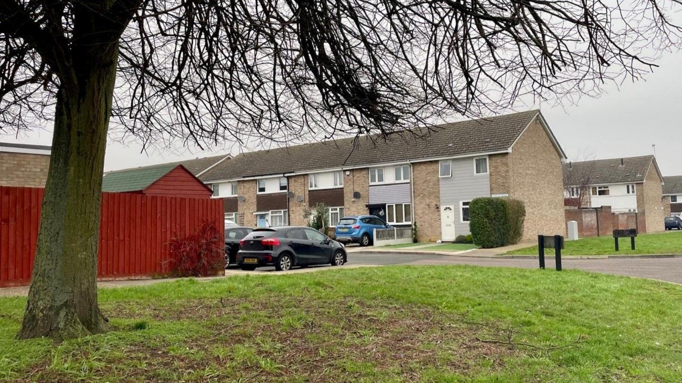 A view of the housing estate with a tree in the foreground