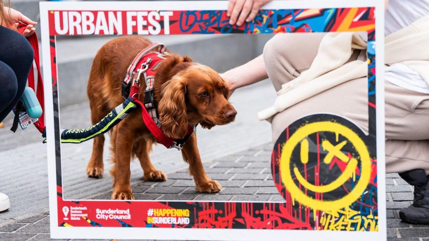 A dog having his photo taken behind a cardboard Urban Fest frame.