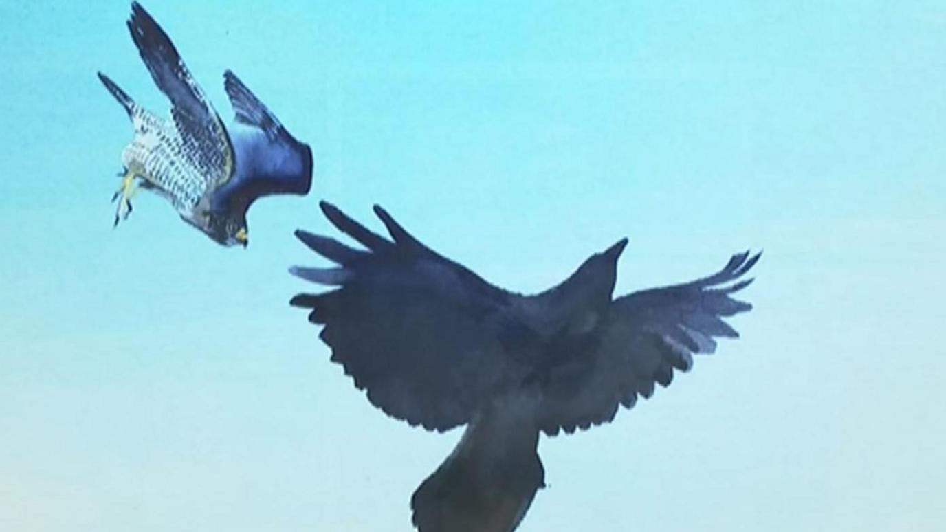 Bird in flight painted in dark colours with a pale blue sky background