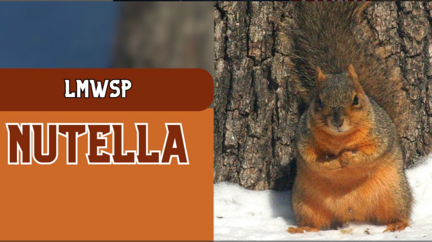 Screengrab of Nutella the squirrel as listed on Lake Mineral Wells State Park social media page 