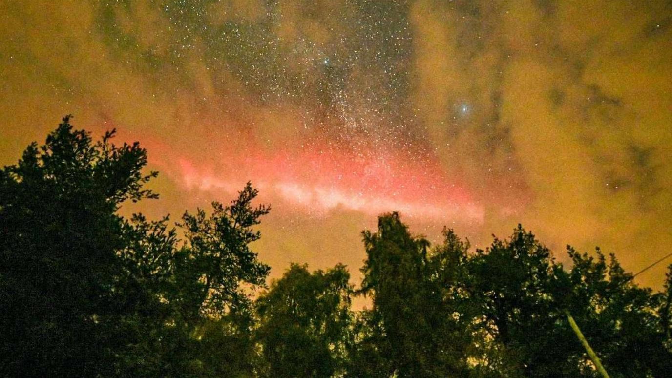 Trees in the foreground, looking up to the night sky with some patches of cloud. Between the cloud, stars are bright with a streak of red running across the sky