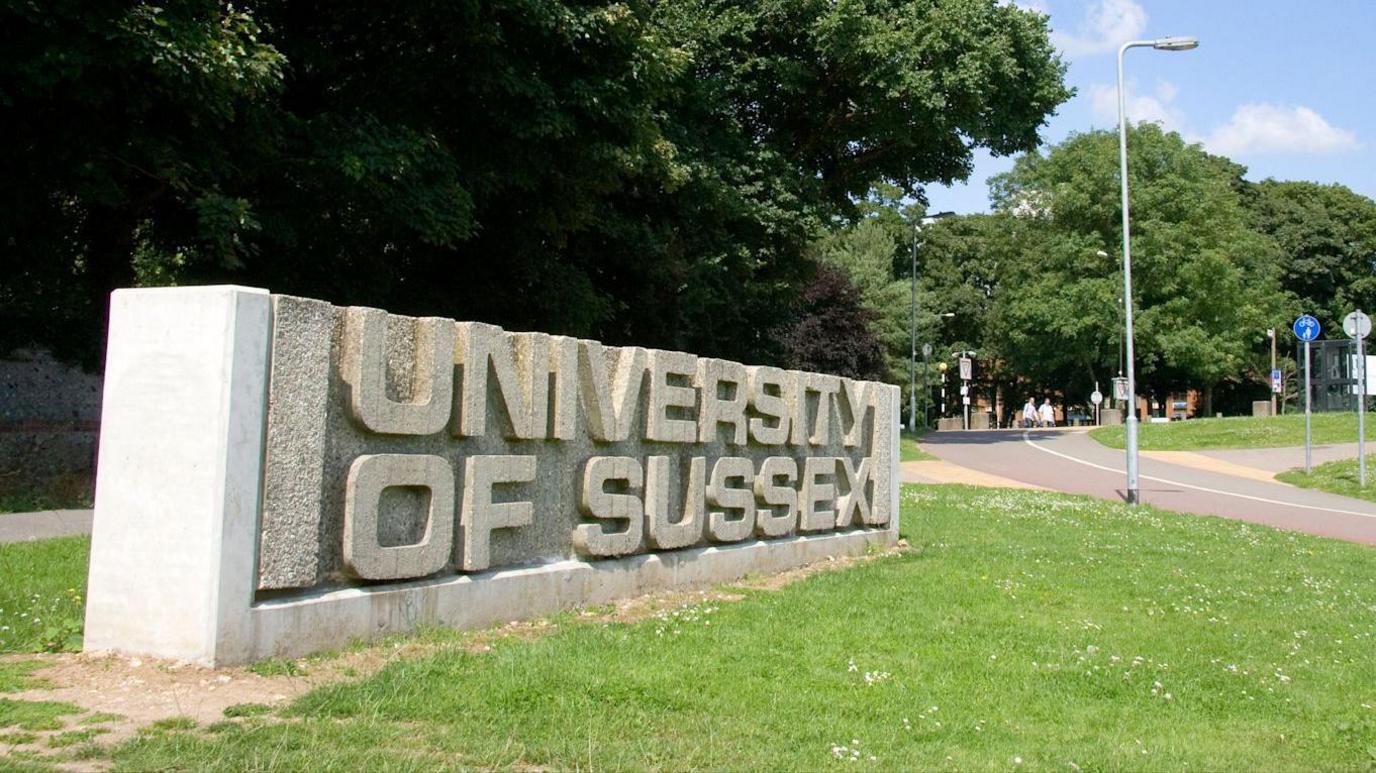 A large concrete sign that reads 'UNIVERSITY OF SUSSEX'. It is on an area of green grass.