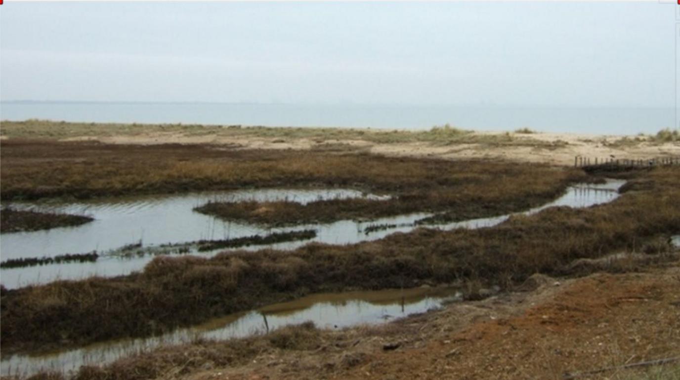 Landscape of water, grass and sand