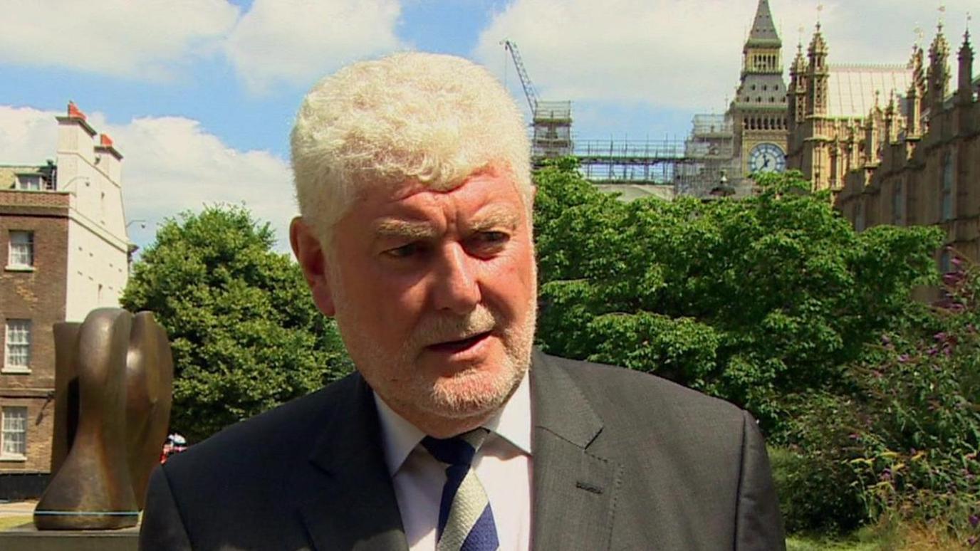 Lord Davies being interviewed outside the Houses of Parliament on a sunny day