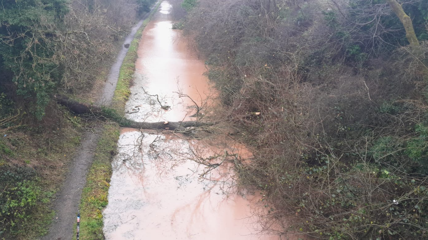 A fallen tree lies across the width of a muddy-coloured canal.