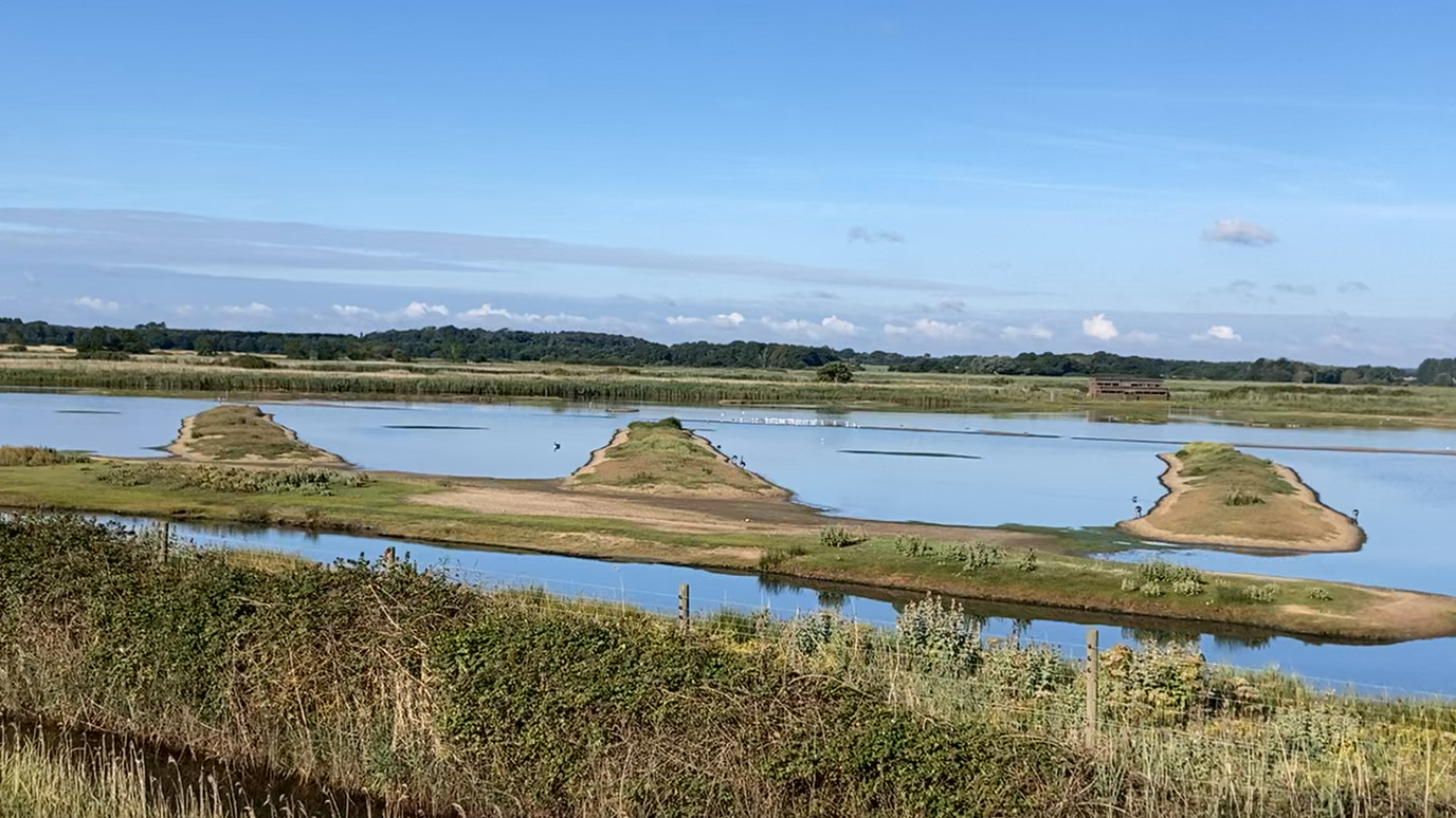 A view over part of RSPB Minsmere with a large artificial island in the middle of a body of water.
