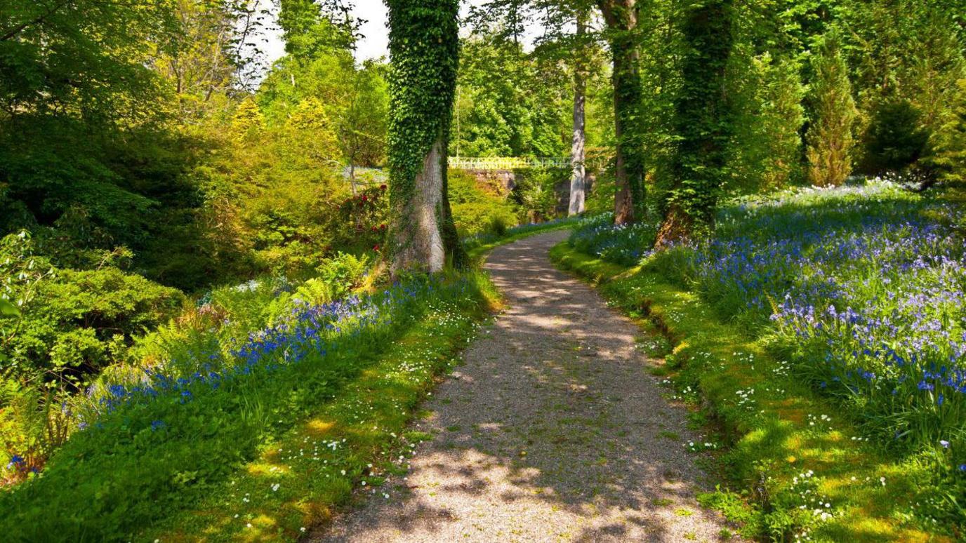 Gàrraidhean Chaisteil Armadail