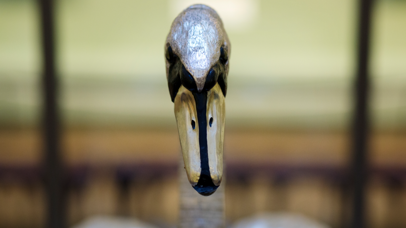 The Silver Swan at the Bowes Museum