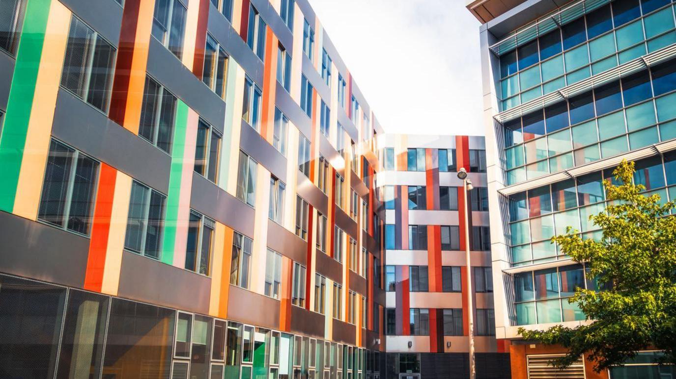 A colourful six-storey University of Sheffield building, with  glass windows among red, green, brown and orange cladding. A large tree is at the right side of the scene.