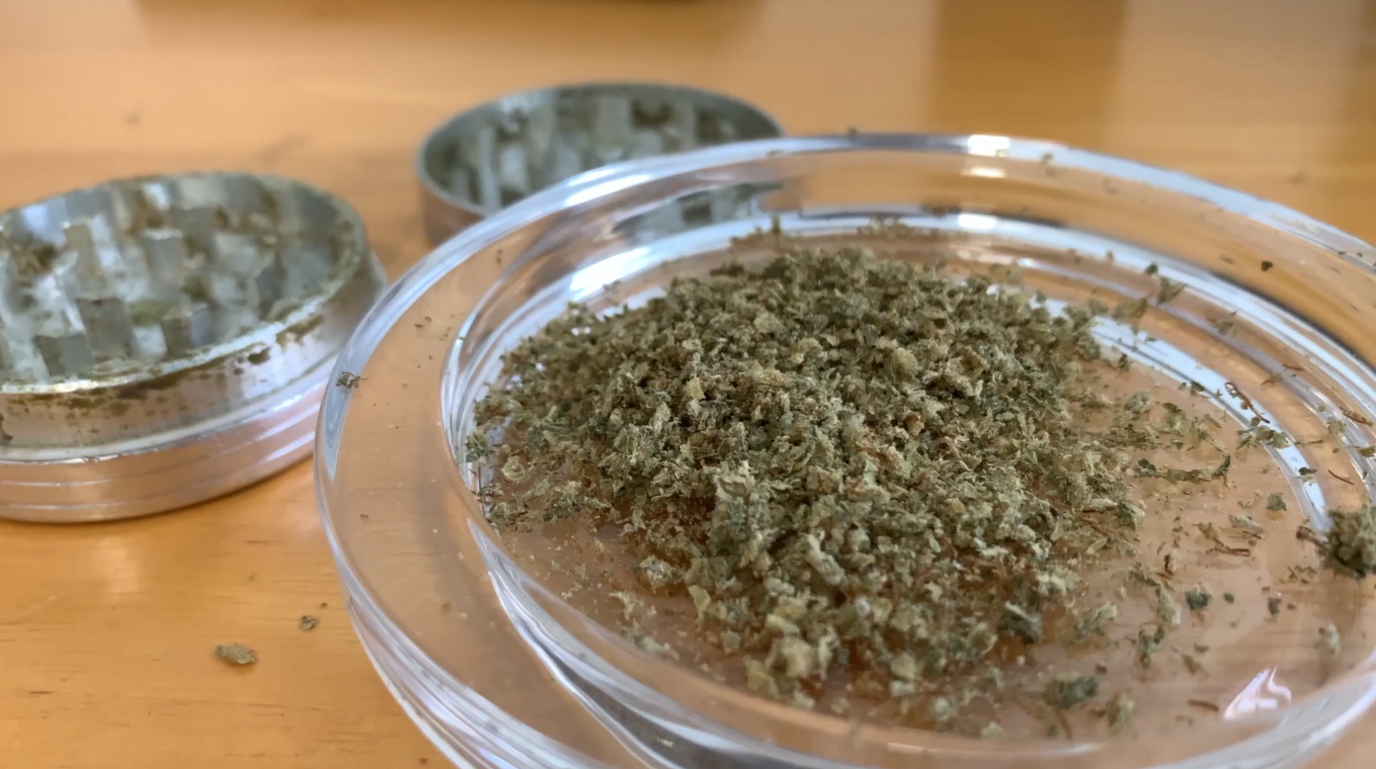 Medicinal cannabis in a grinder