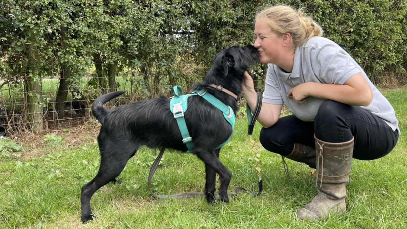 Markus enjoys some attention from pet rescuer Lucie Holmes