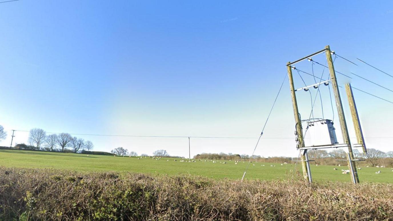 A green grass field with sheep surrounded by brown hedges. Power cables can be seen running across the field. The sky is blue with no clouds.