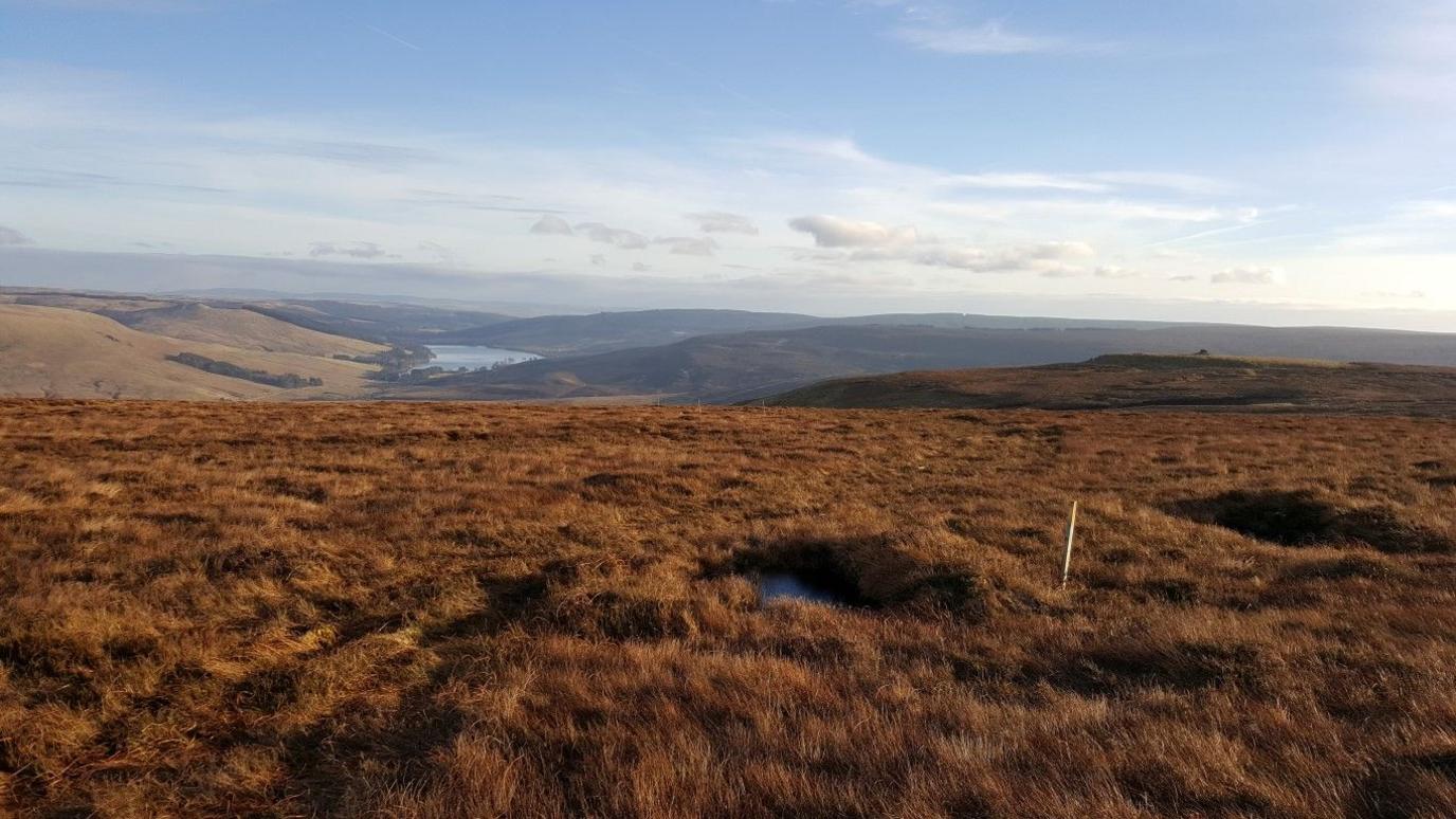 Northumberland upland scenery with peat bog in the foreground and a reservoir in the background 