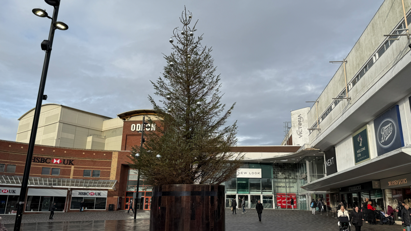 A Christmas tree in Southend high street. Around its base are vertical wooden planks which resemble a barrel and are taller than a person. The tree is very tall but does not have much greenery or decorations. Many of its branches are bare