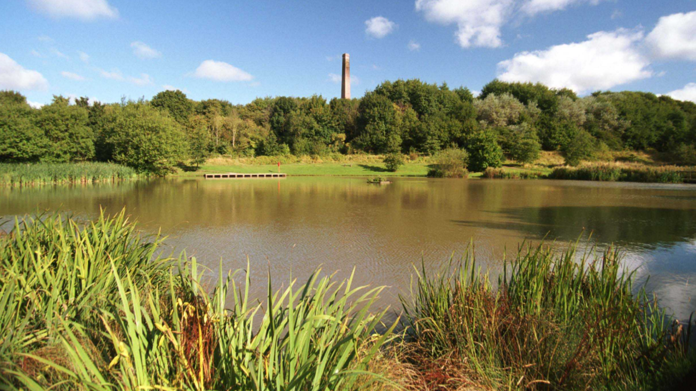 Baggeridge Country Park showing a large body of water and greenary around the edge.