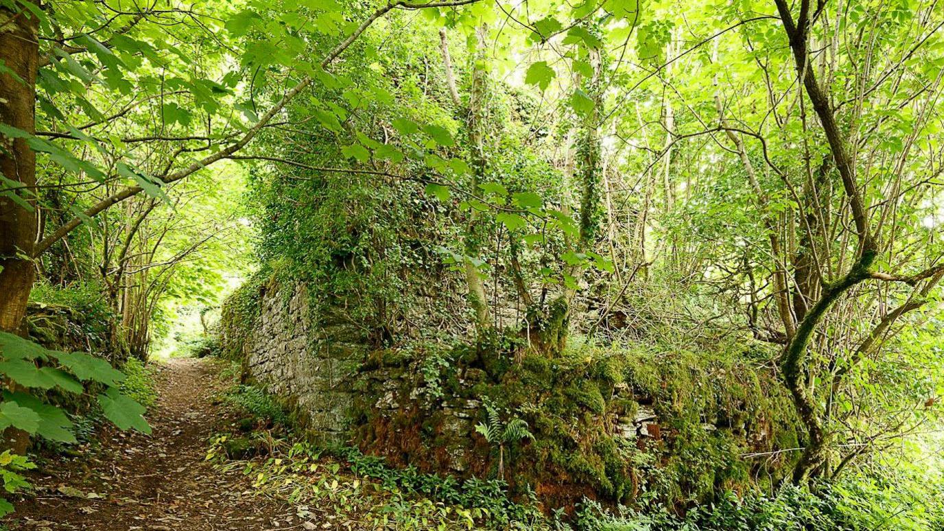 The Limekiln. The large stone structure is covered in ivy and ferns. A lower section of the building is covered in plants and several trees are growing from the building. A path leads off to the left around the building.