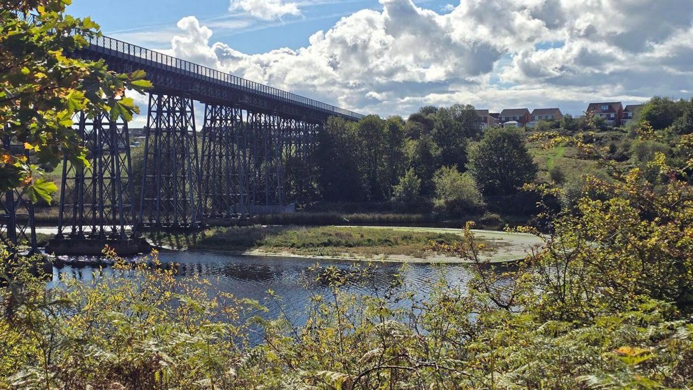 A large viaduct which spans the width of a river. A green island can be seen in the middle of the river, with houses on a hill on the far bank. The sun is reflected in the water and trees and shrubbery can be seen in the foreground.