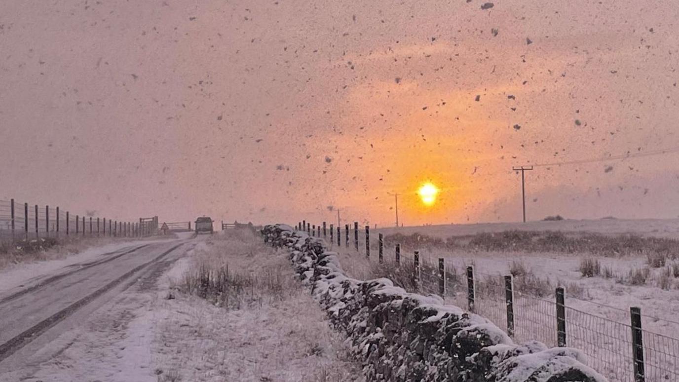 There are fat flakes of snow falling and the glow of a low sun. A stone wall, fence posts and fields are covered in snow. There is a road with truck at the end of tyre tracks. 