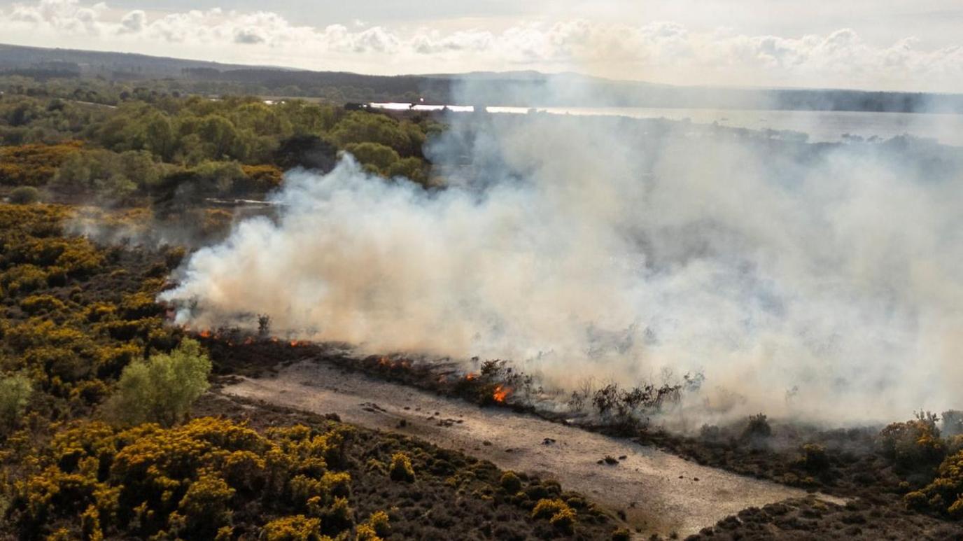 Aerial view of fire on heathland, made up of green bushes. Grey smoke is rising from the orange flames. Part of the area is burnt out and blackened.