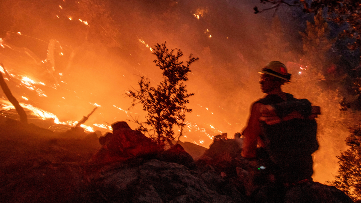 A firefighter battles the blazein a forest during the Eaton Fire in Altadena, California. The man's silhouette can be seen and there is a burning landscape with the outlines of a tree visible.