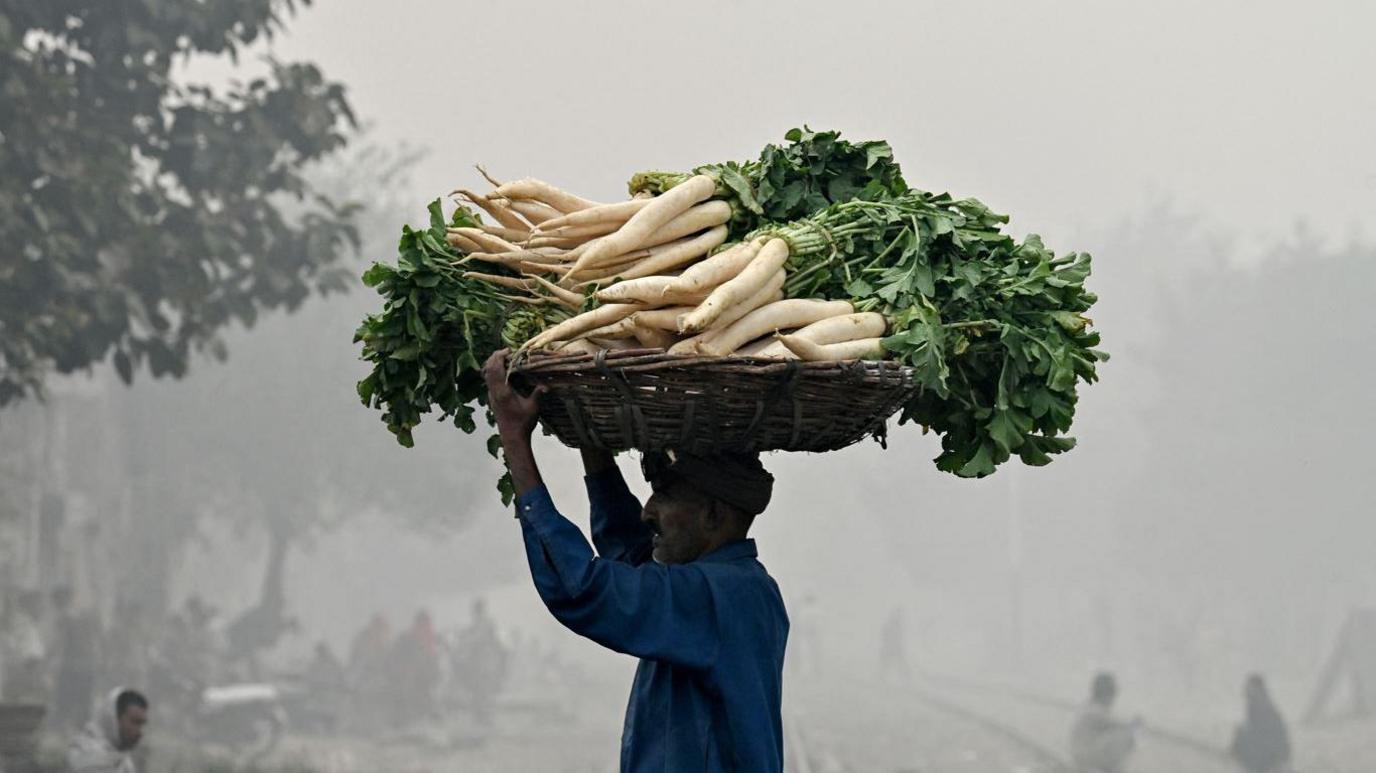 A vendor carries a bucket of radishes in Lahore 