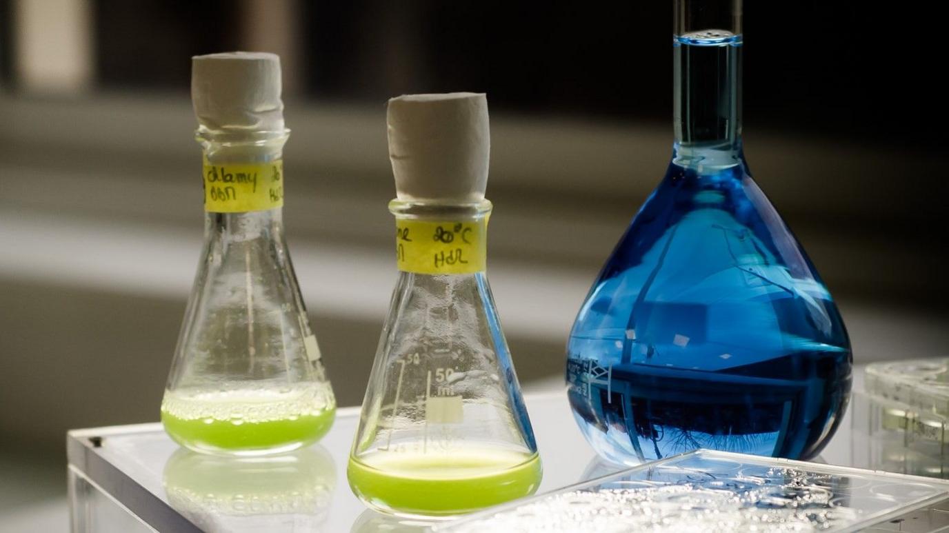 Three laboratory beakers, two with a green liquid and one blue.