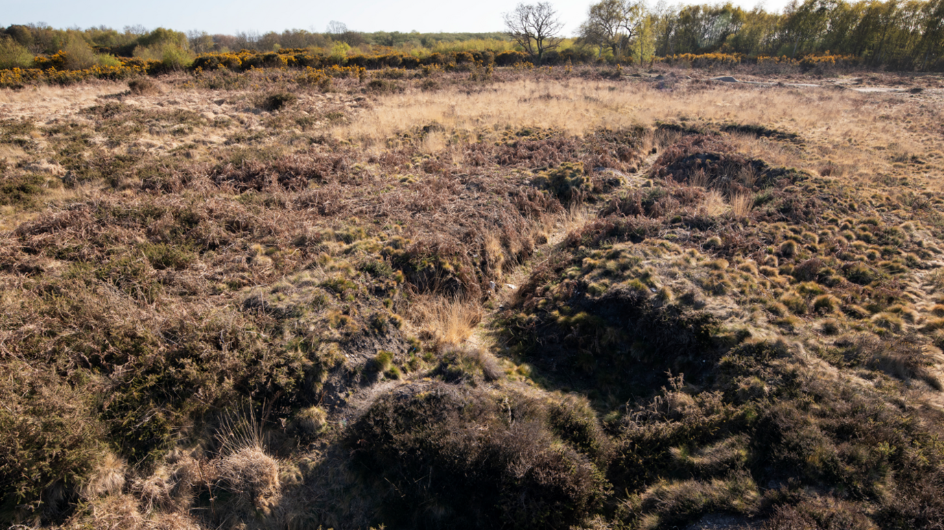 Shallow trench surrounded by coarse dry grass. In the background there are trees.