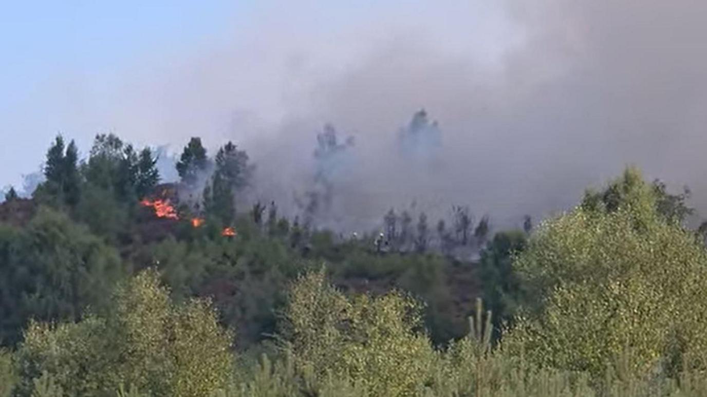 Video still of a fire on a tree covered hill