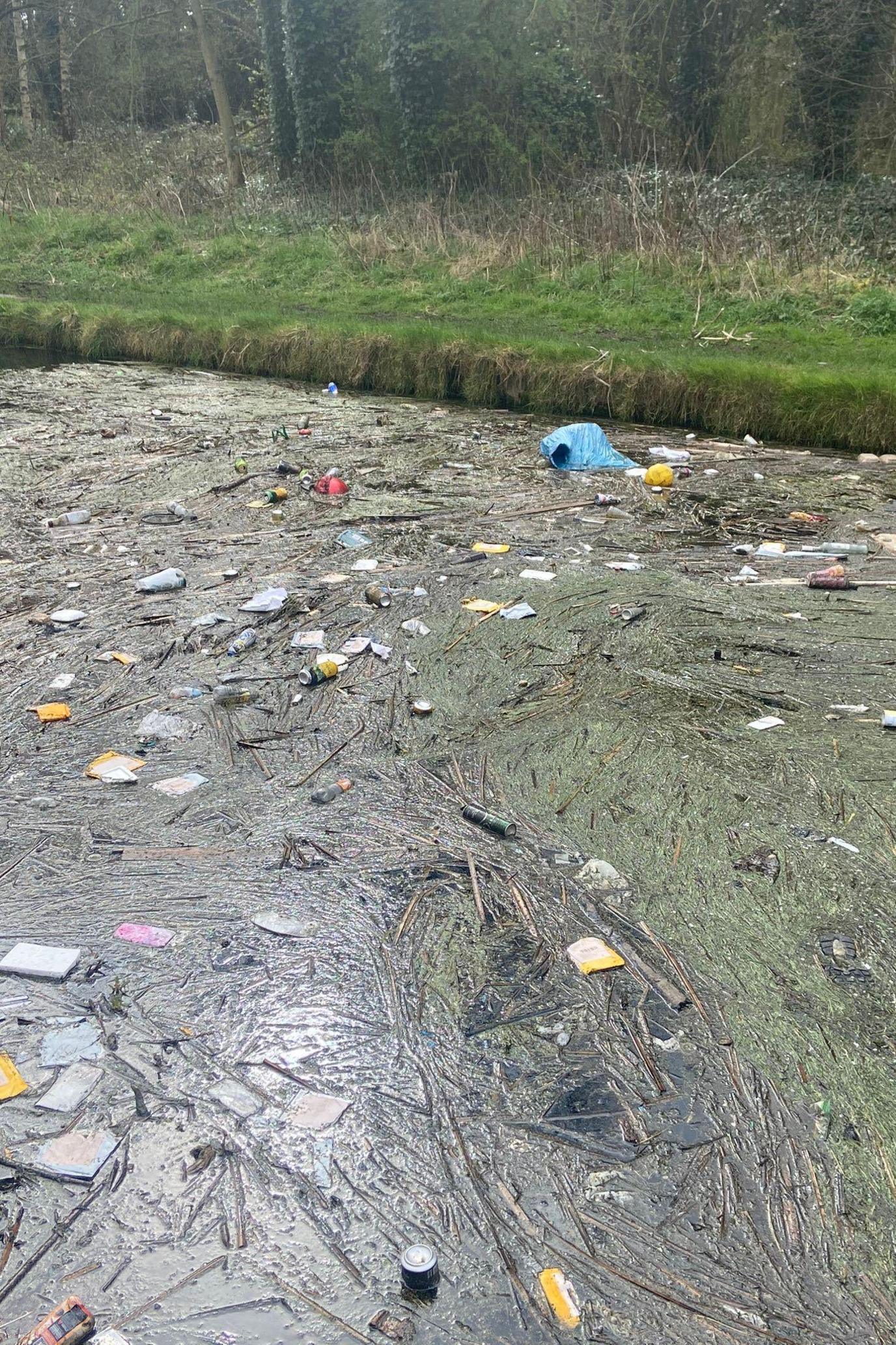 Green algae and lots of pieces of litter cover the surface of a canal