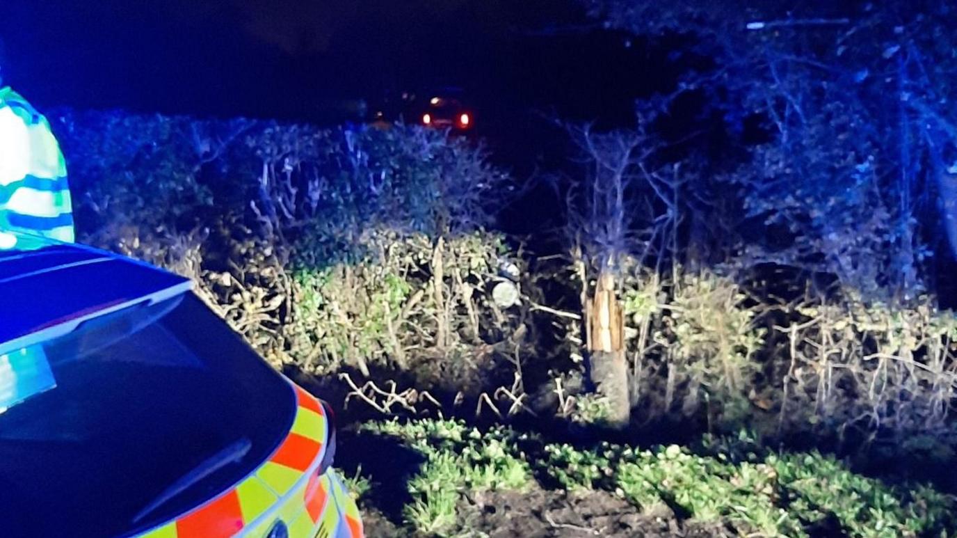 A police car by a hit tree