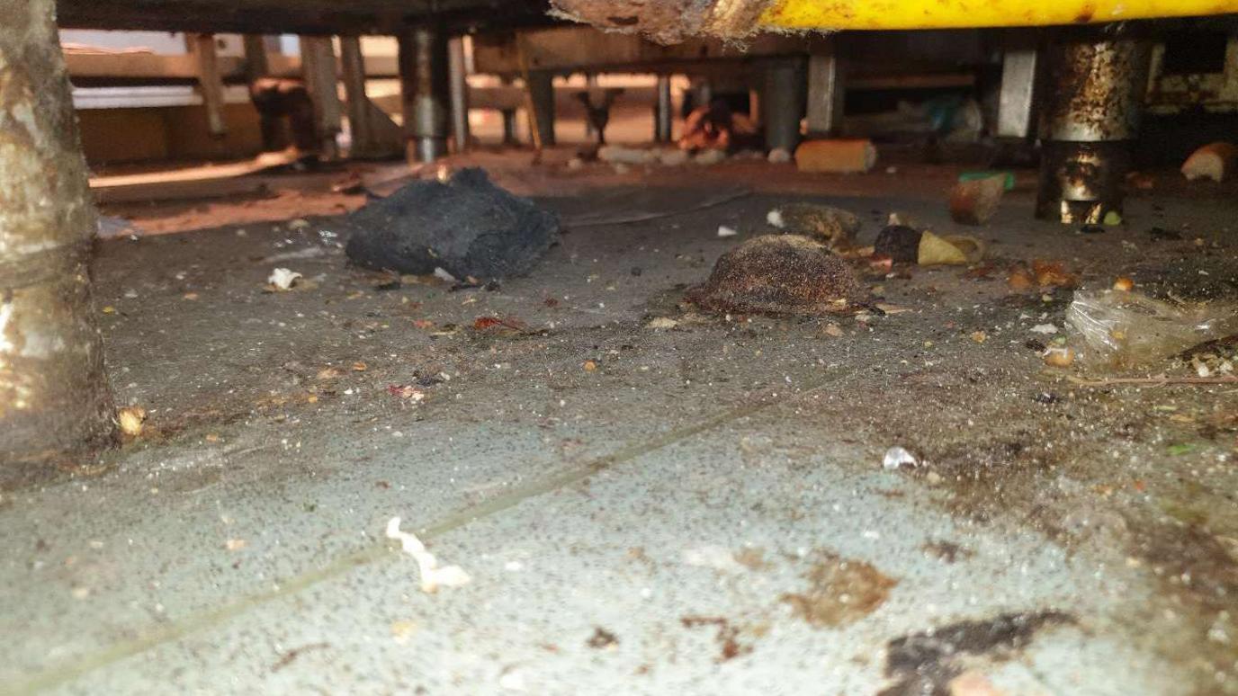 A disgusting and dirty floor surface.