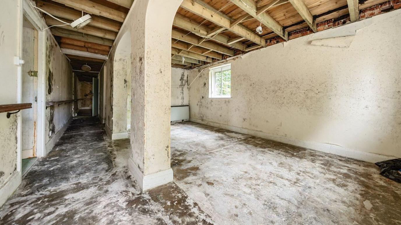 Mould and damp in Old Manor House