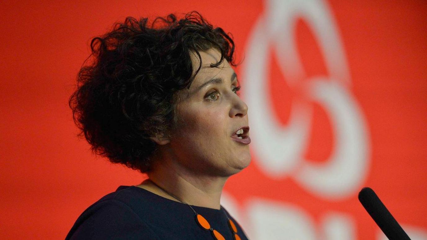 Claire Hanna speaks into a microphone at this year's SDLP party conference. She is pictured from the side and has short curly dark hair and is wearing a black top against a red background