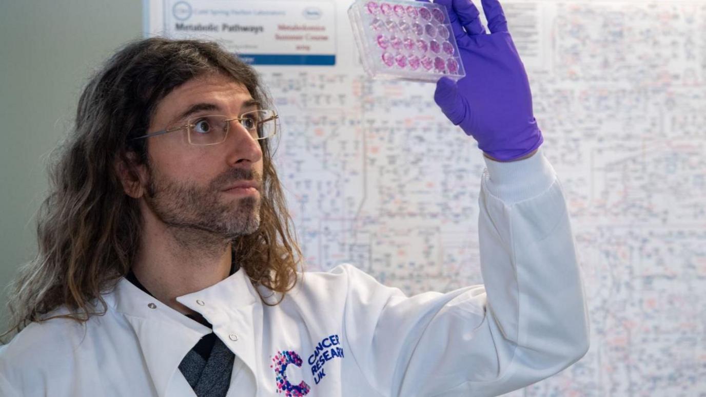 A researcher from Cancer Research UK looking at a clear plastic container full of samples in a lab.