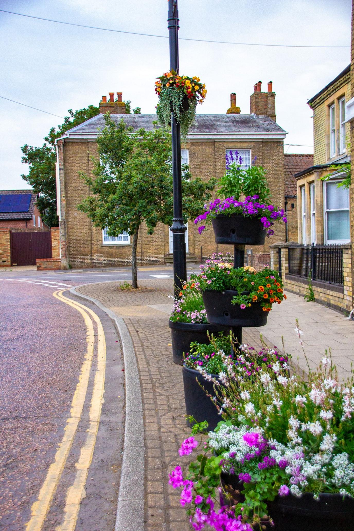 Flowers in Chatteris