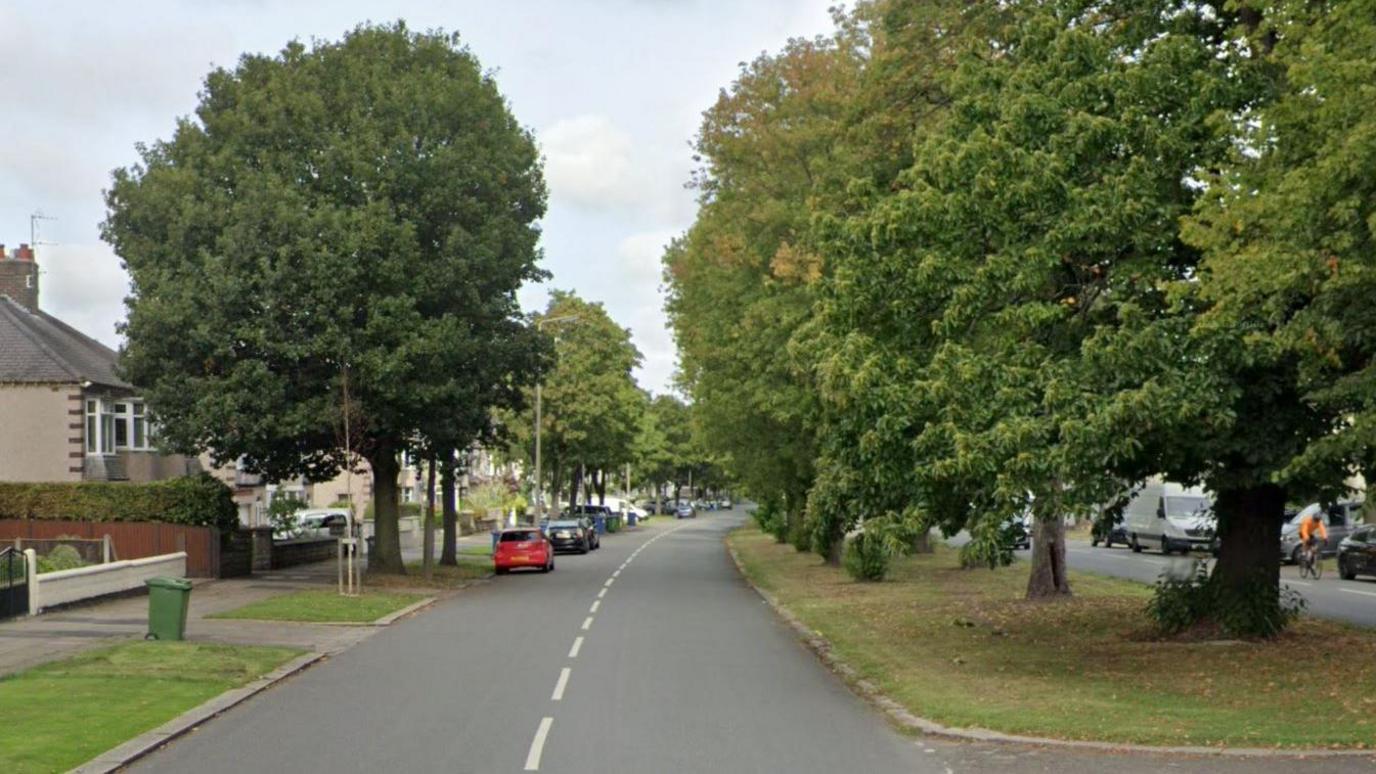 A treelined dual carriageway showing large mature tress in the central reservation and in front of houses