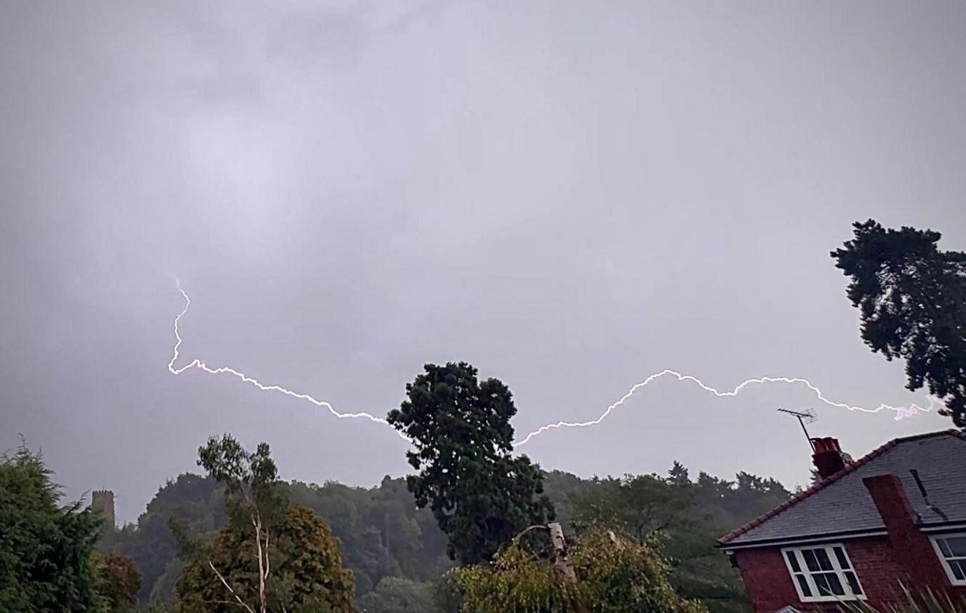 A strand of kinked lightening above a row of trees with the corner of a roof visible in the foreground.