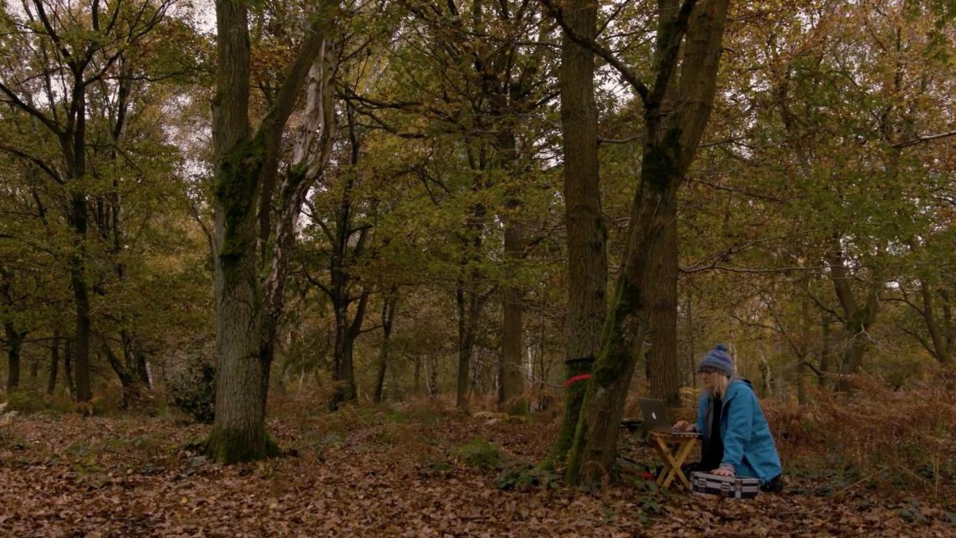 An image of Caroline Locke, in Sherwood Forest, on an Apple Mac laptop.
