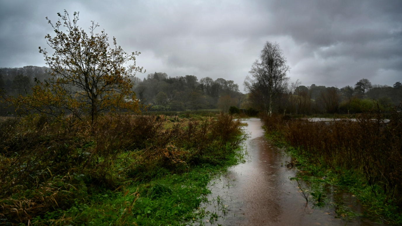 Flooded fields and paths near Exeter. Trees and vegetation blowing the wind