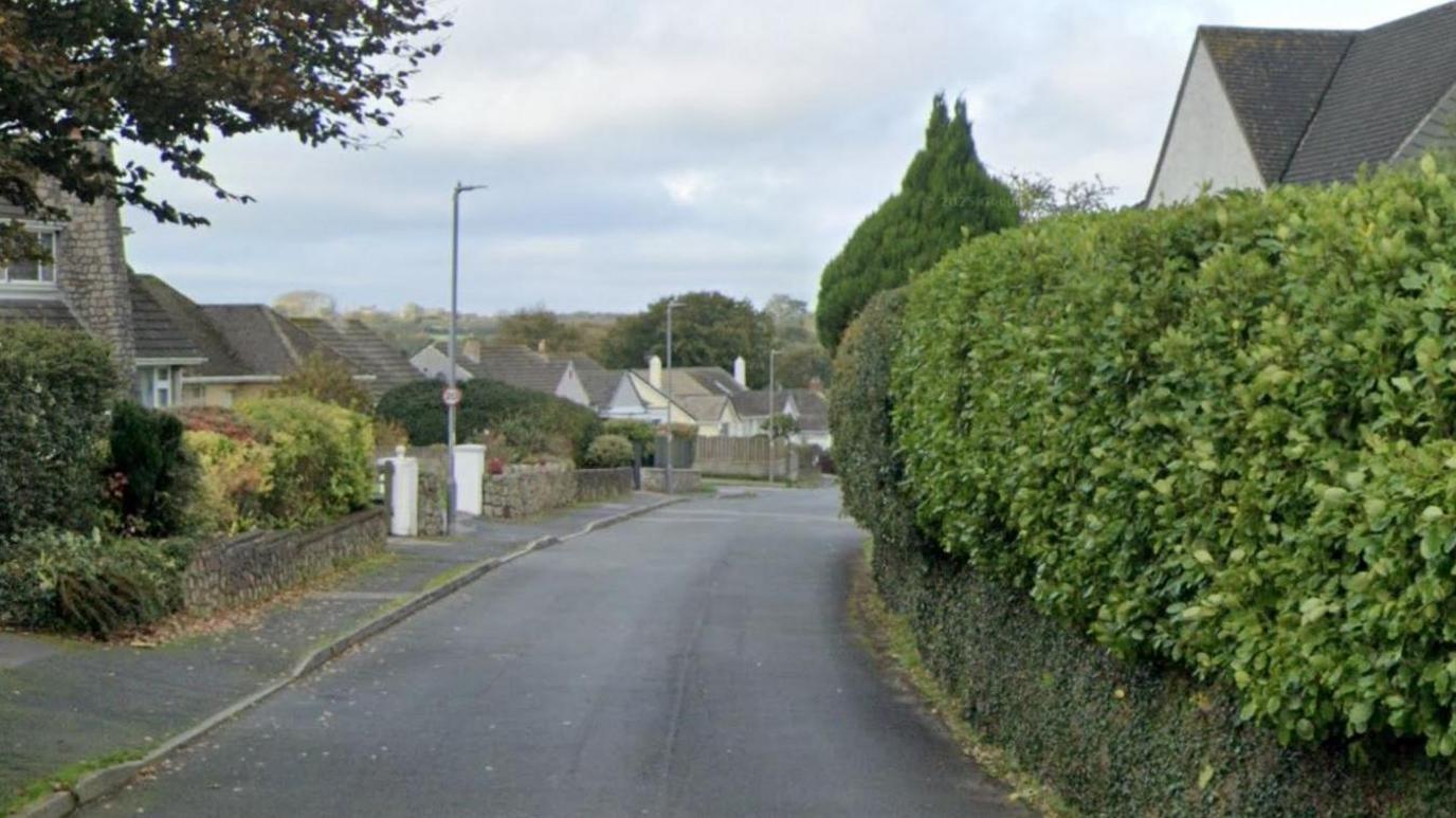 A suburban street showing houses and hedges.