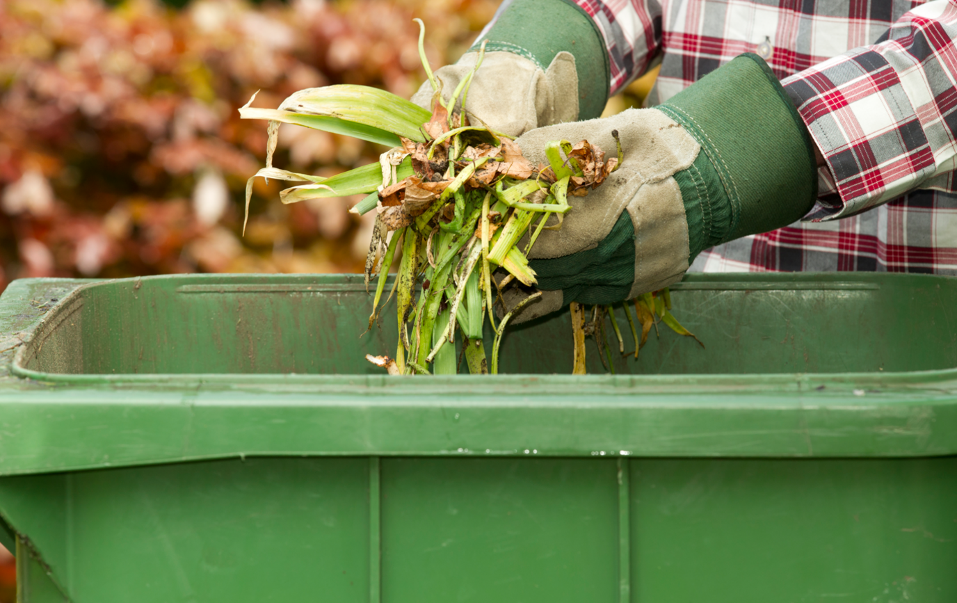 A green bin with gloved hands holding plants