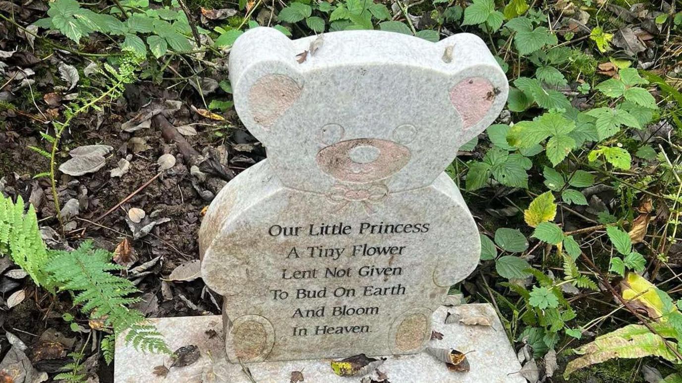 A grave found in a nature reserve, made from carved granite and in the shape of a teddy bear. 