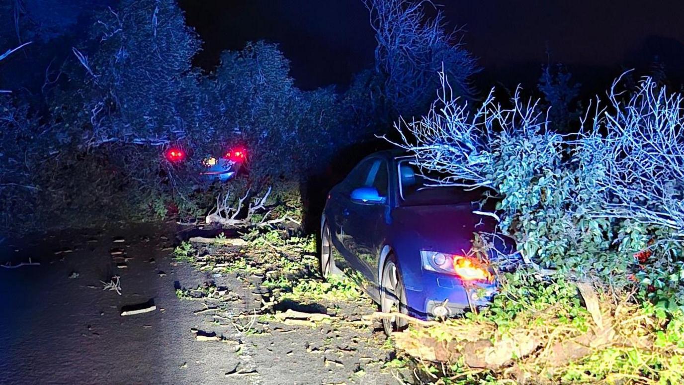 It's night time and the lights of two cars are illuminating a road. One of the cars is clearly under the debris of a fallen tree.