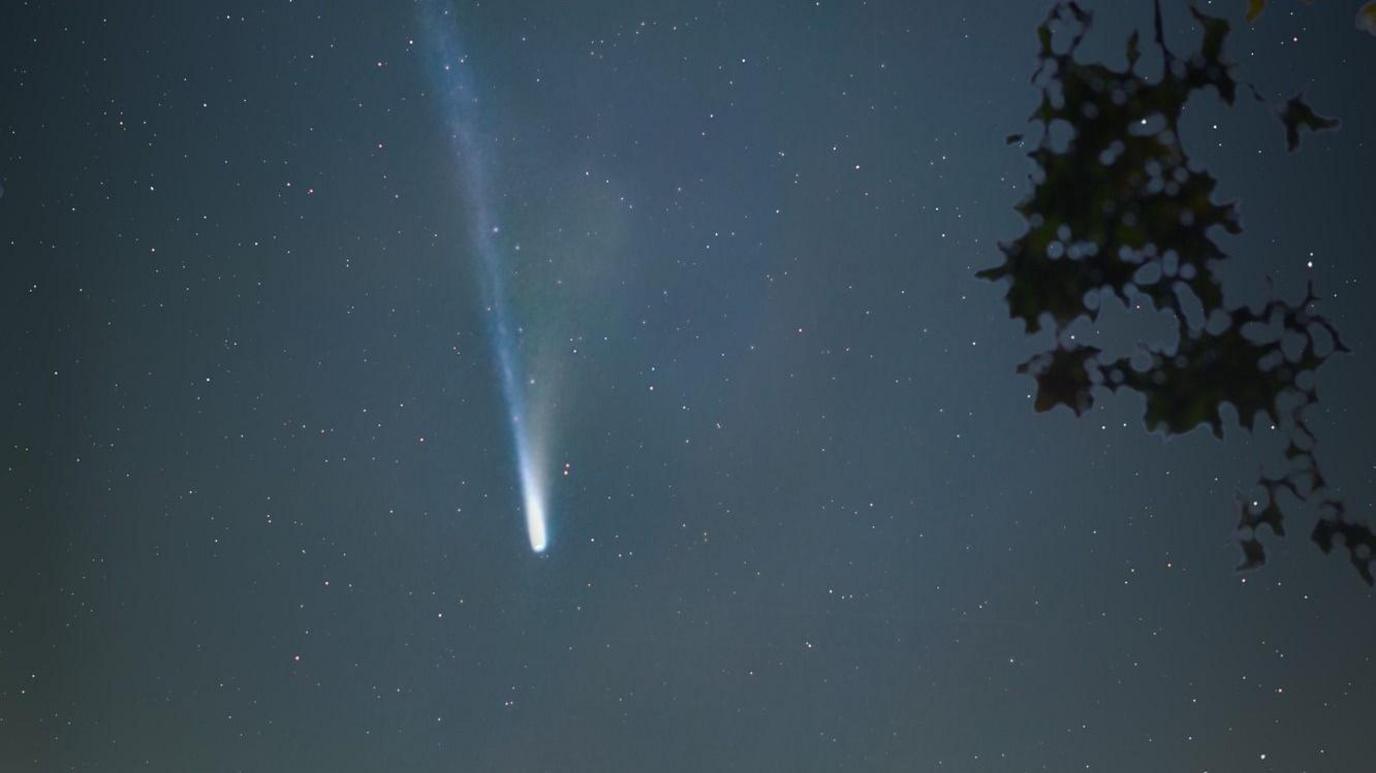 The bright blue, Comet Lemmon going across the night sky leaving a light train behind it.