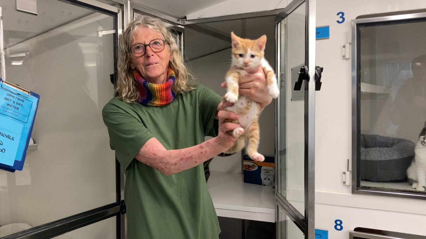 Worker holds up a kitten