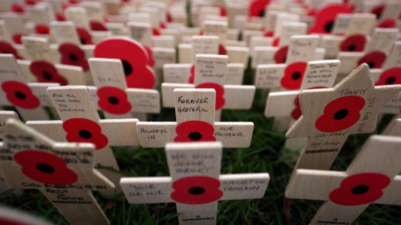 Rows and row of poppy crosses lie in the Field of Remembrance at Westminster Abbey in London
