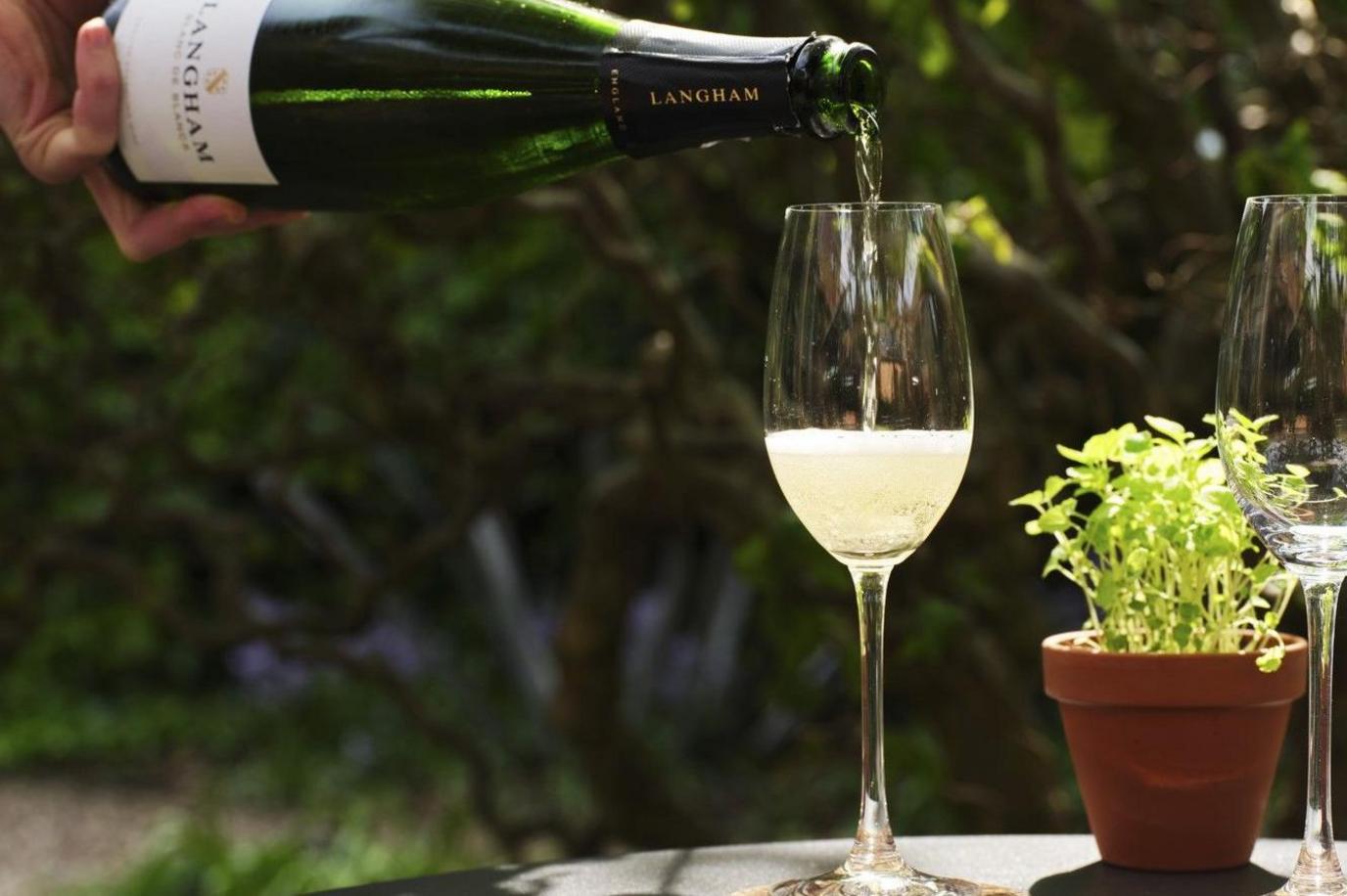 A waiter holds a bottle of sparkling wine and pours it into a wine glass on a table with a plant in a pot placed on it, outside in a garden in the sun.