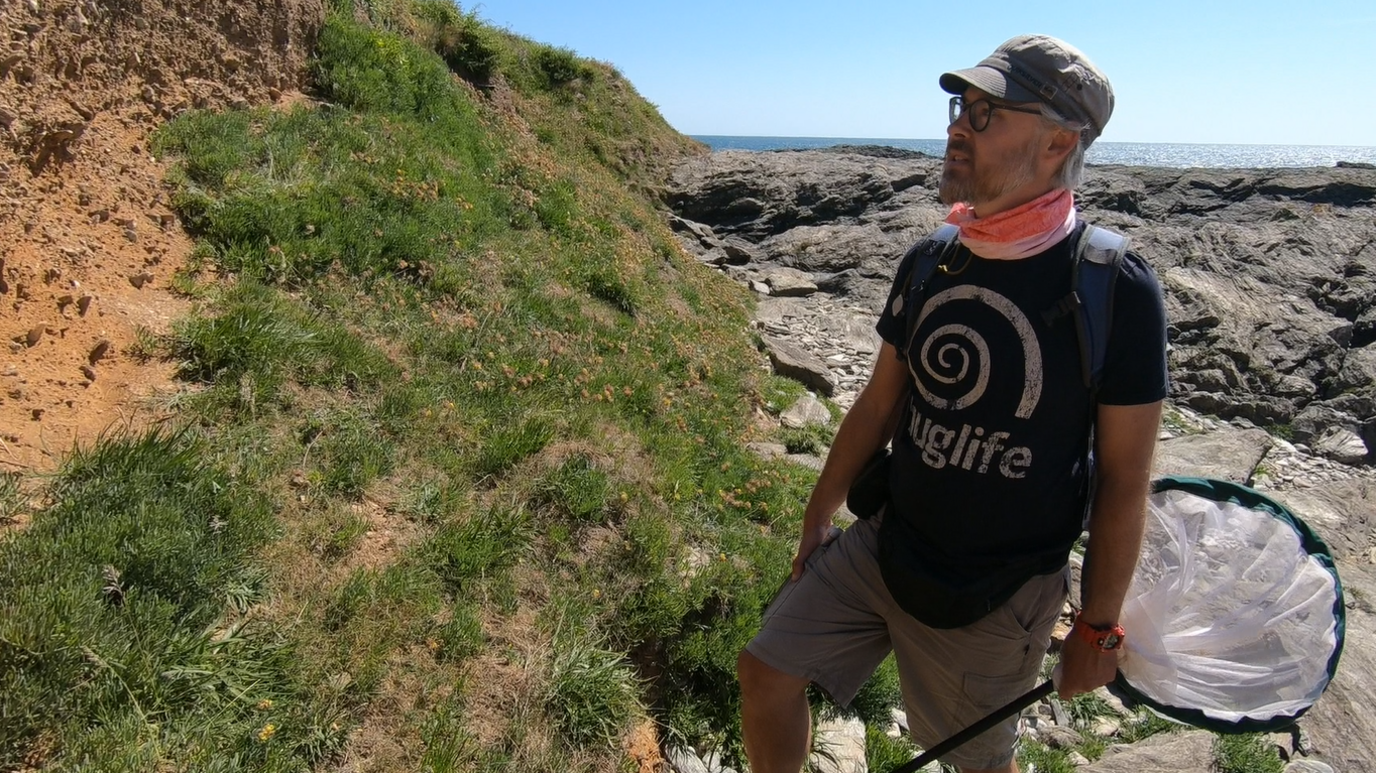 A man in a cap and shorts and a T-Shirt. He is holding a net and standing on a beach. 