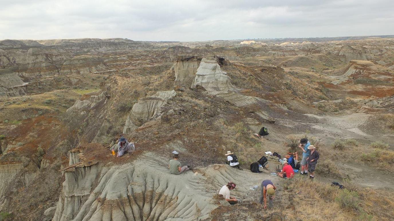 An aerial shot shows researchers working where the fossil was found in Canada’s Dinosaur Provincial Park. 